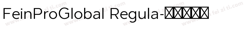FeinProGlobal Regula字体转换